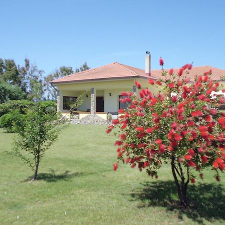 B&B Casa Vacanze La Mimosa Alghero Porto Conte Zewnętrze zdjęcie
