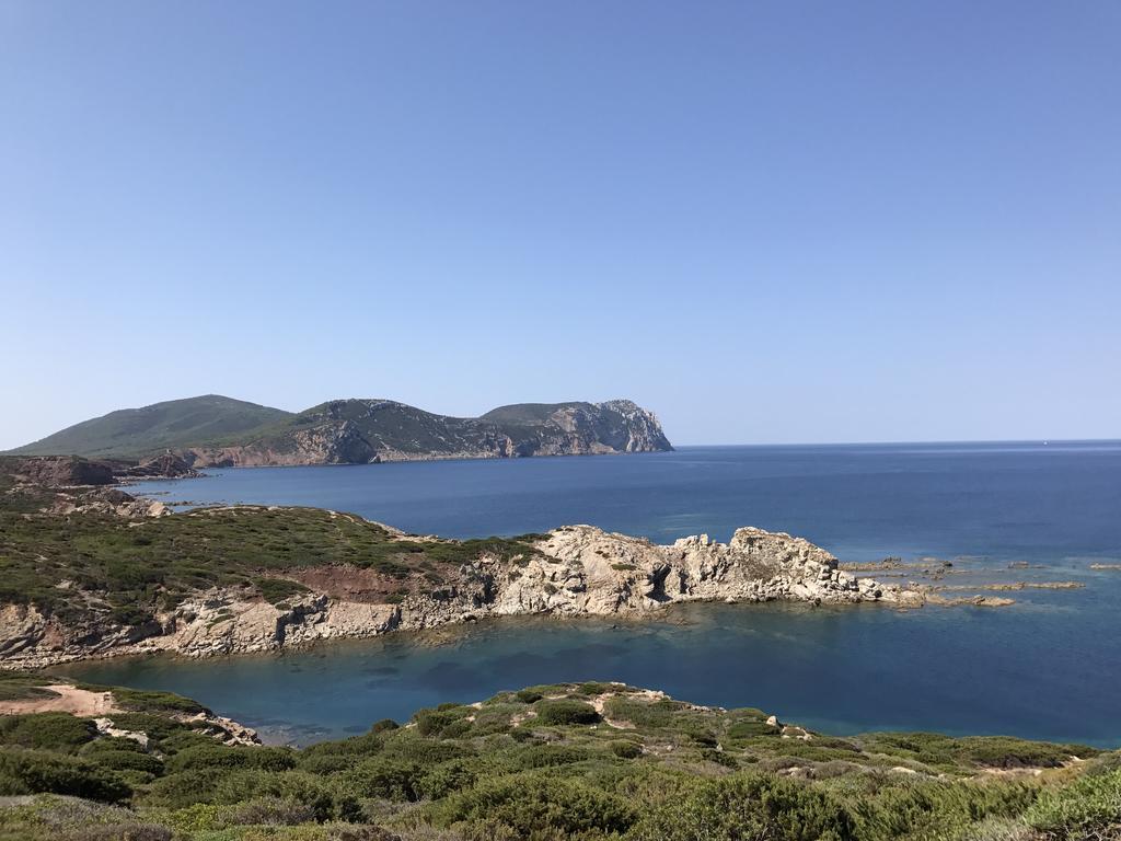 B&B Casa Vacanze La Mimosa Alghero Porto Conte Zewnętrze zdjęcie